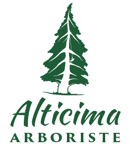 Alticima Arboriste - Tailles esoins des arbres - abattage - démontage