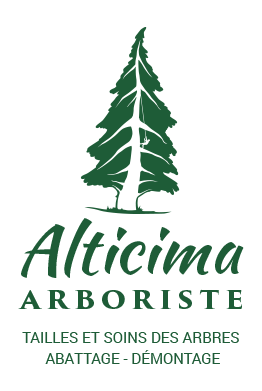 Alticima Arboriste - Tailles esoins des arbres - abattage - démontage